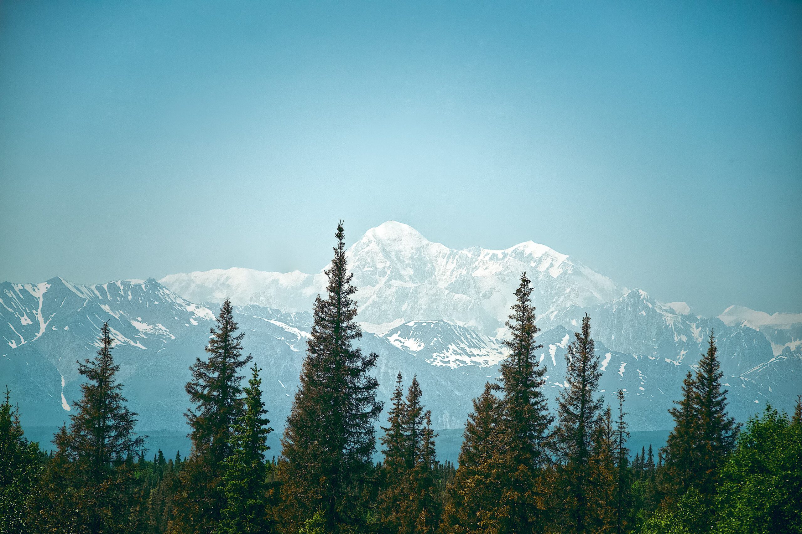 Denali Park